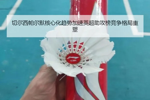 qie-er-xi-pa-er-mo-he-xin-hua-qu-shi-jia-su-ying-chao-zhu-gong-bang-jing-zheng-ge-ju-zhong-su-2-581.jpg